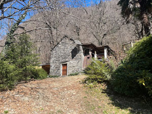 Miele Valle Leventina - Giornico